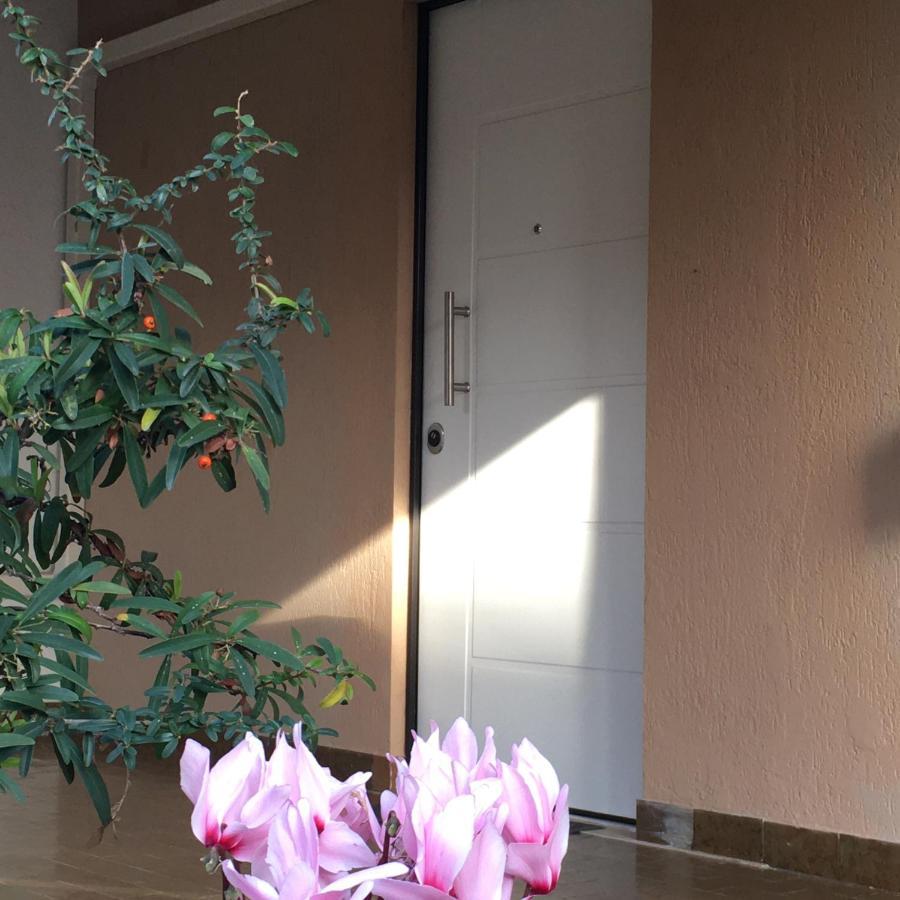 Casa Di Lucia B&B Ladispoli Luaran gambar